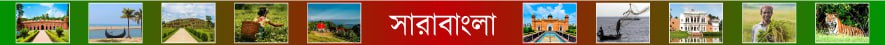 সারাদেশ